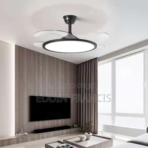 Modern Fan Light With Remote Control