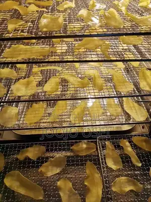 Commercial Inverter Electric Dehydrator