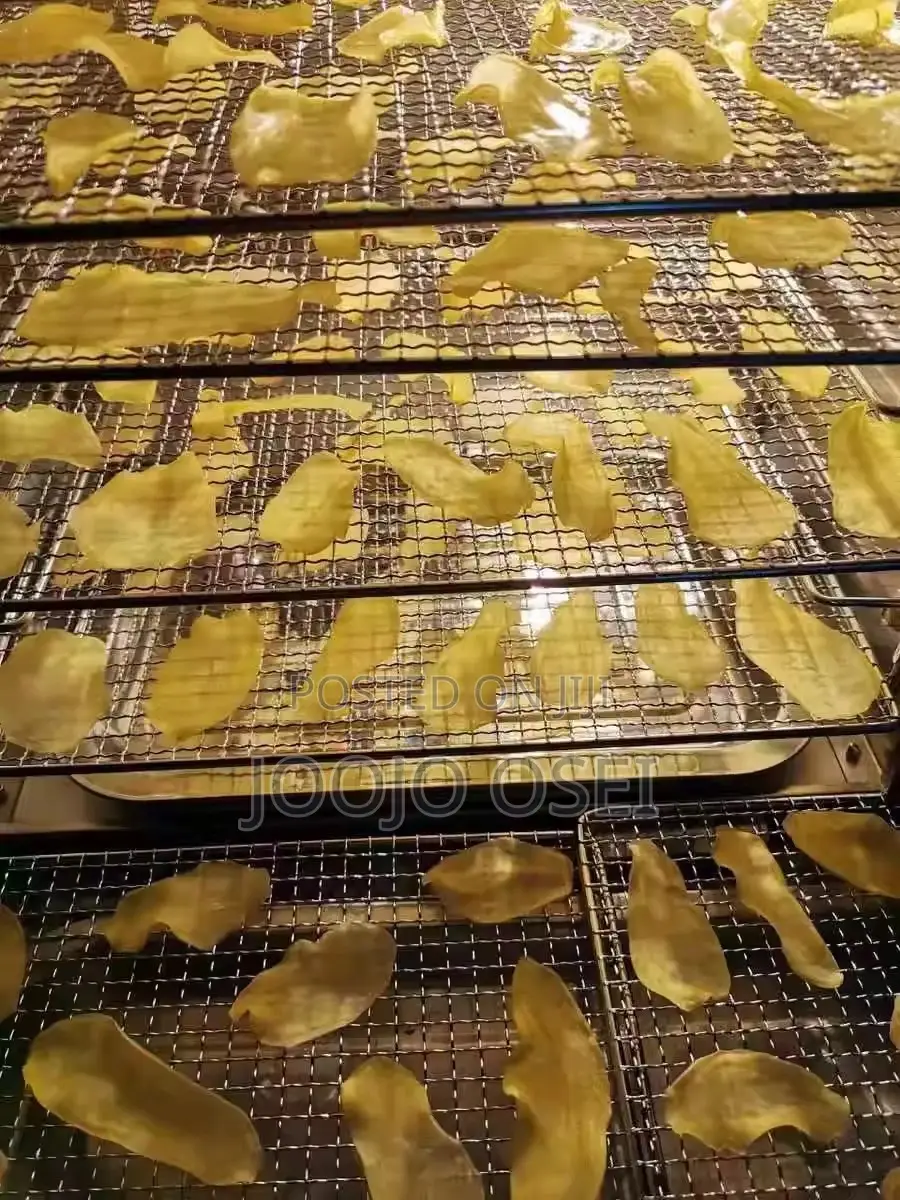 Commercial Inverter Electric Dehydrator
