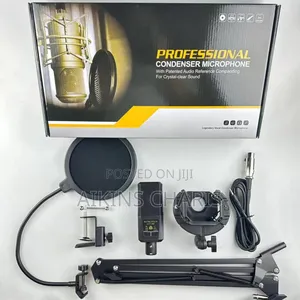 Professional Condenser Microphone With V8 Sound Card