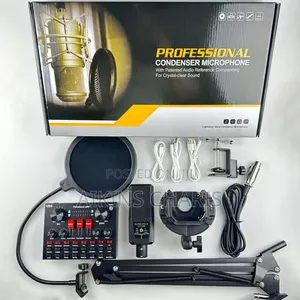 Professional Condenser Microphone With V8 Sound Card