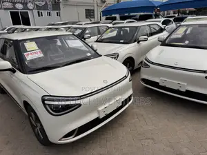 New Dongfeng Nammi 01 2025 White