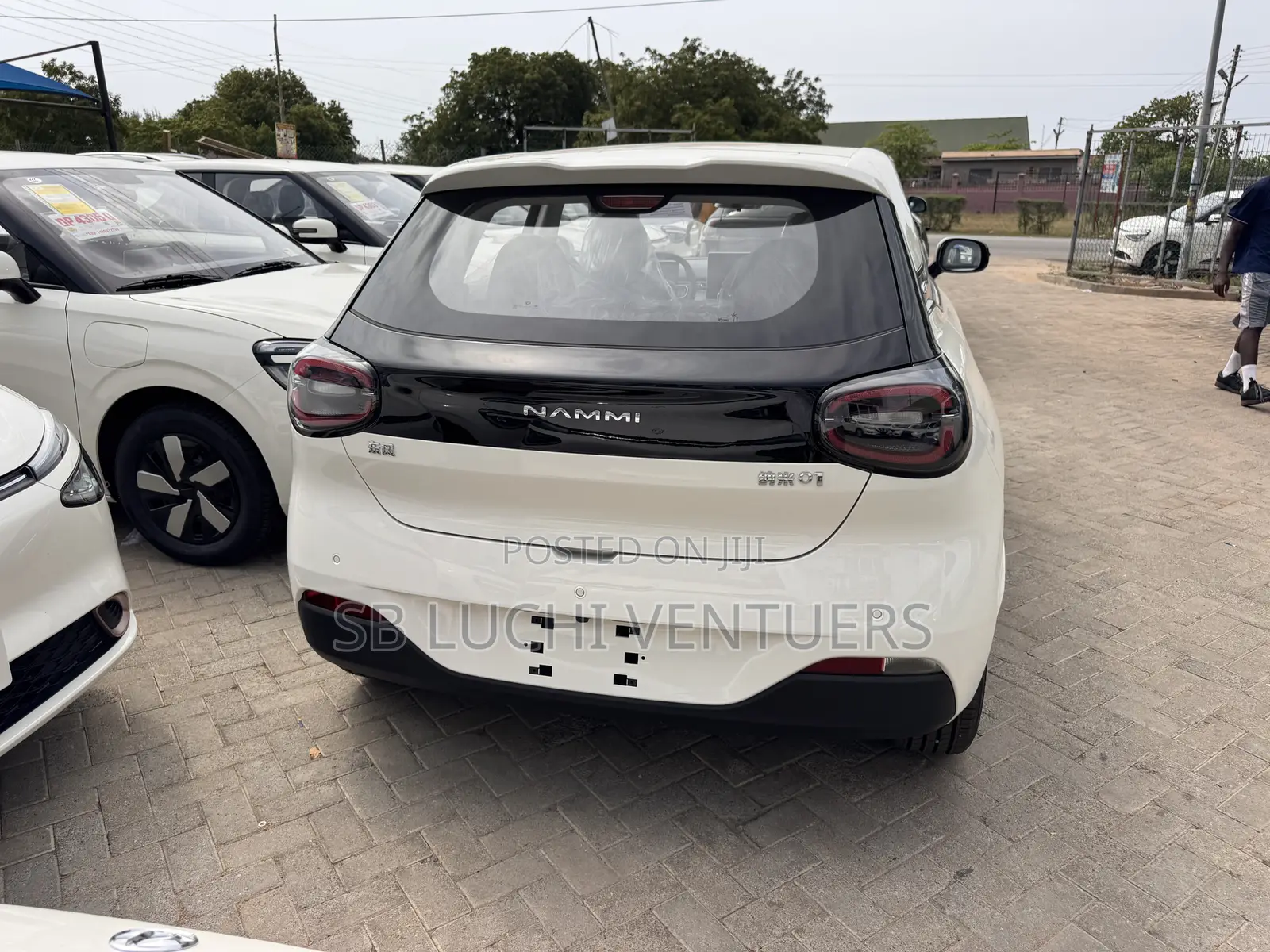 New Dongfeng Nammi 01 2025 White