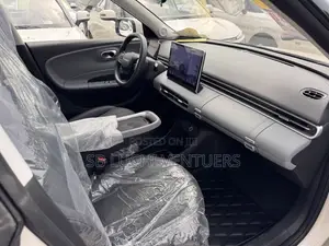 New Dongfeng Nammi 01 2025 White