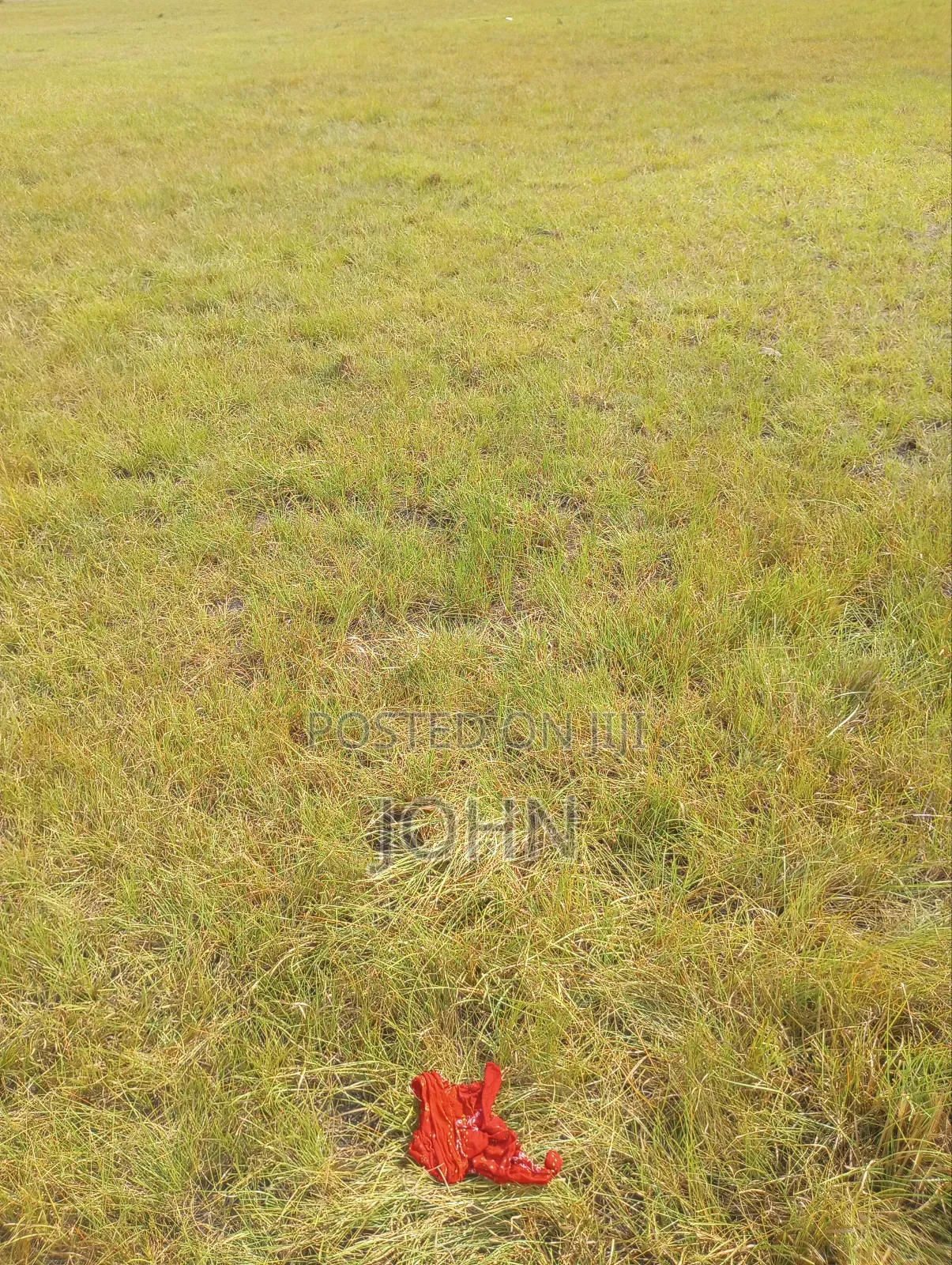 Registered 10 Plot of Land for Sale