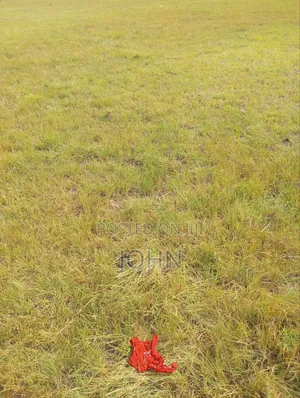 Registered 10 Plot of Land for Sale