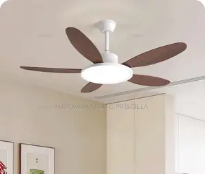 Long Blade Ceiling Fan With 3colors Led Light