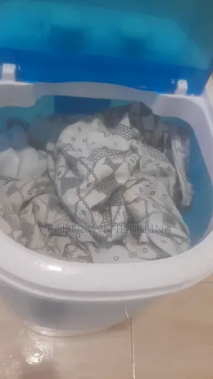 4.5kg Washing Machine and Can Wash Shoe Too