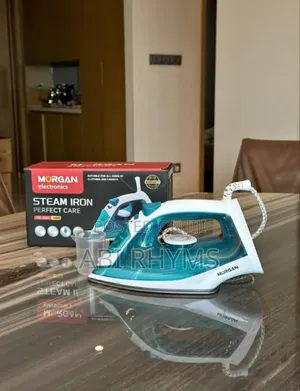 Electric Steam Iron
