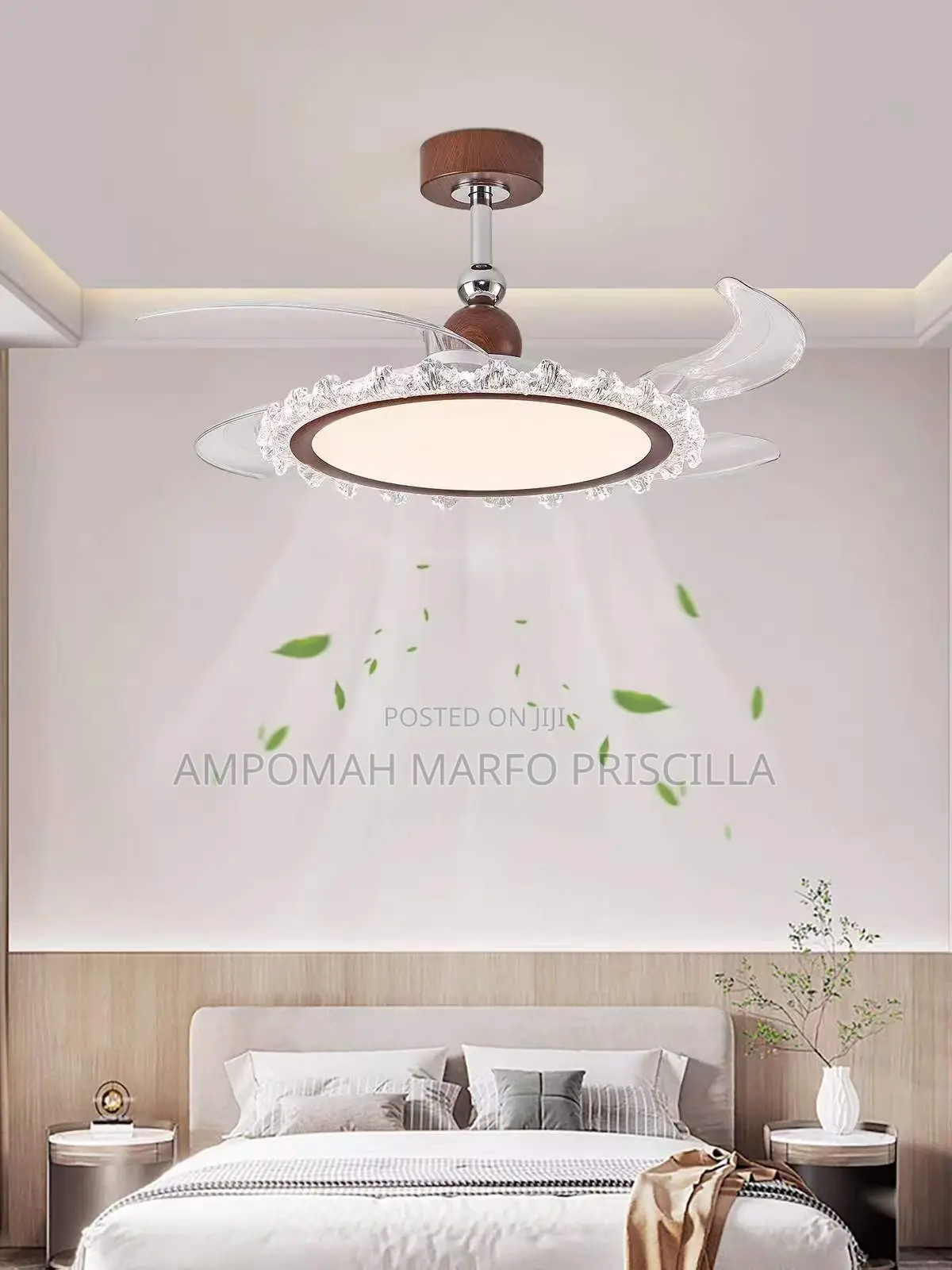 Crystal Fan Light