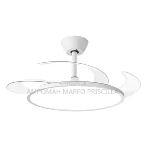 Ceiling Light With Fan and Remote Control