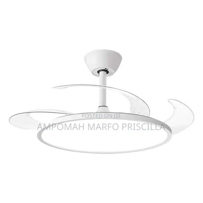Ceiling Light With Fan and Remote Control