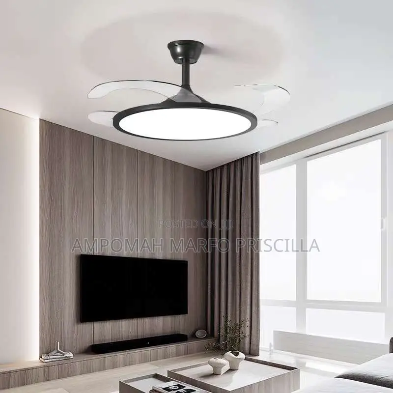 Ceiling Light With Fan and Remote Control