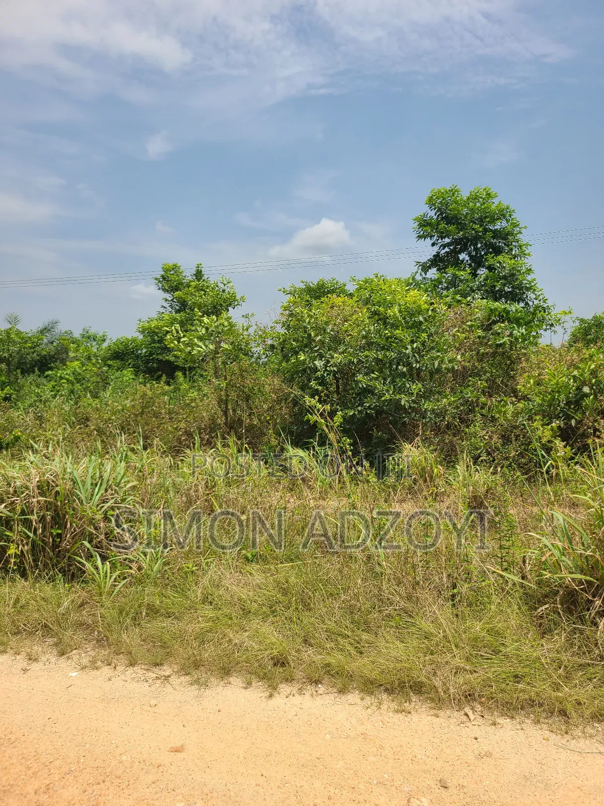 20,000 Acres of Cocoa Farme Land