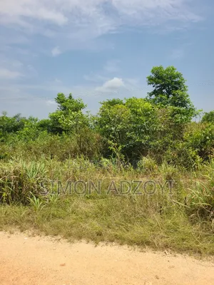 20,000 Acres of Cocoa Farme Land