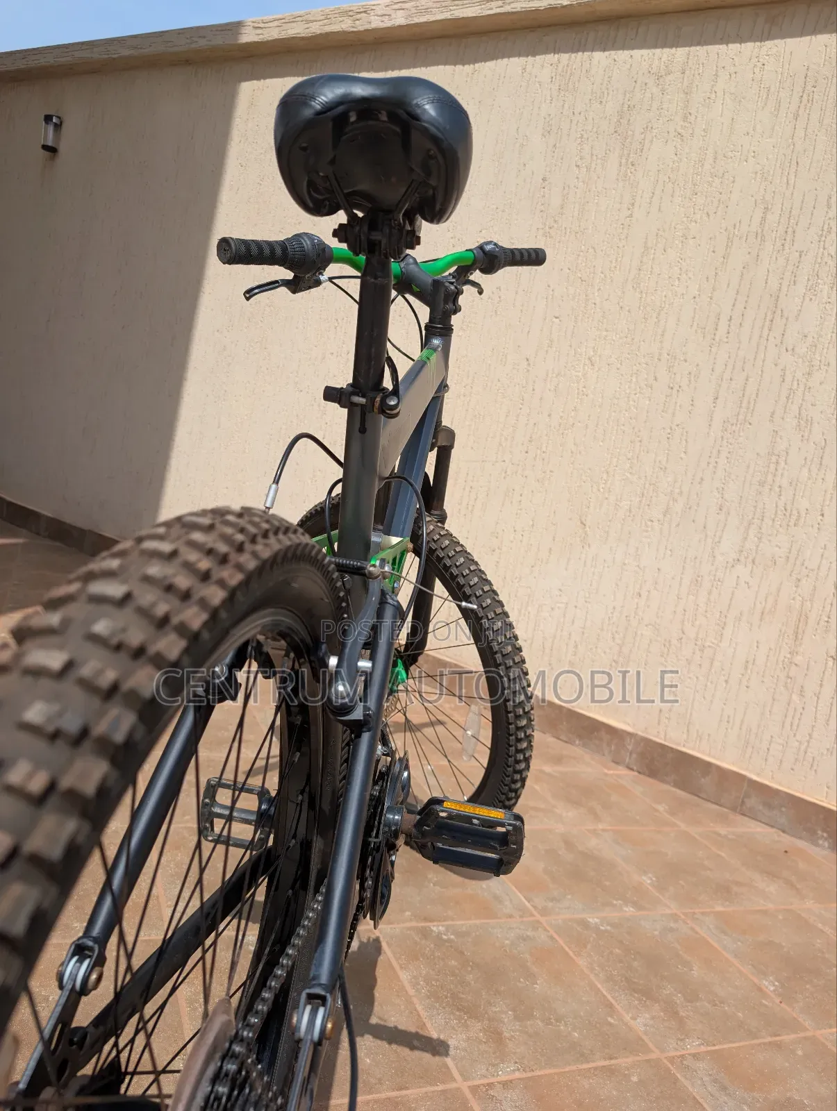 Genesis Bicycle