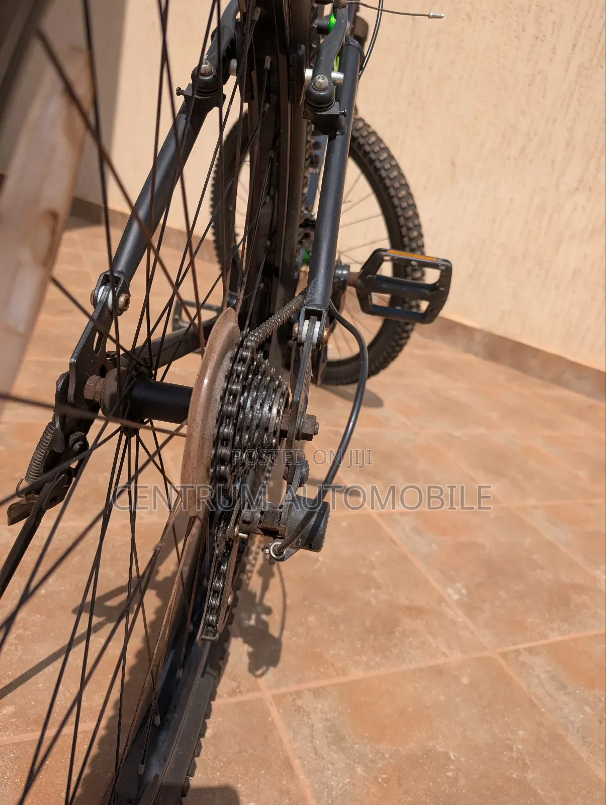 Genesis Bicycle