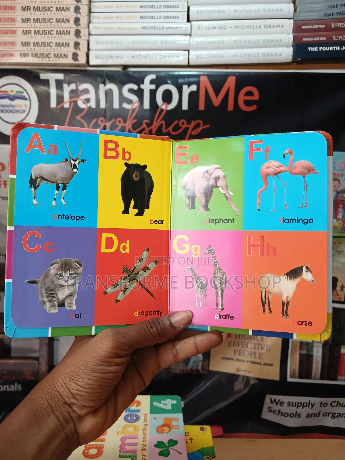 Baby Cognitive Books