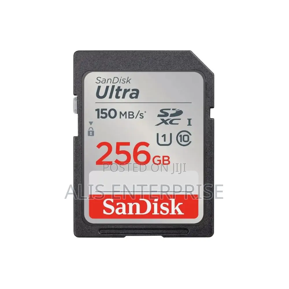 Sandisk Sd Memory Card 256gb