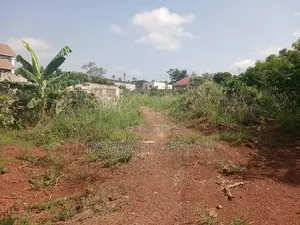 Prime Area One Acre Land (4 Plots) for Sale at Nhyieso Ridge