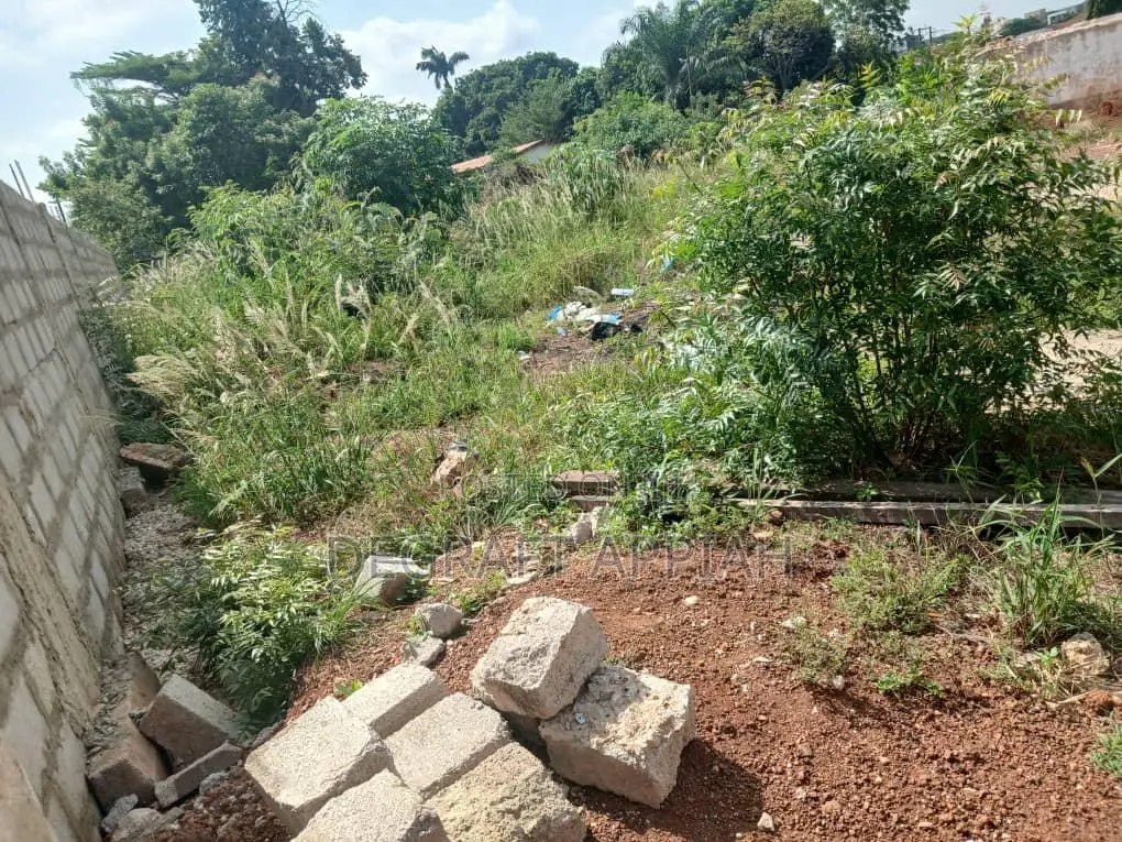 Prime Area One Acre Land (4 Plots) for Sale at Nhyieso Ridge