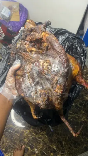 Dry Bush Meat