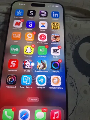 Apple iPhone 15 Pro Max 256 GB Silver