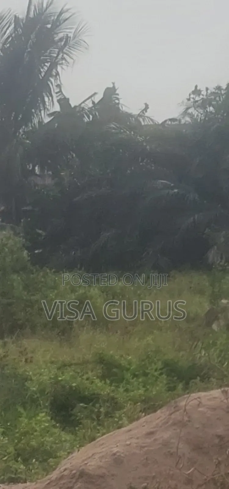 Land for Sale