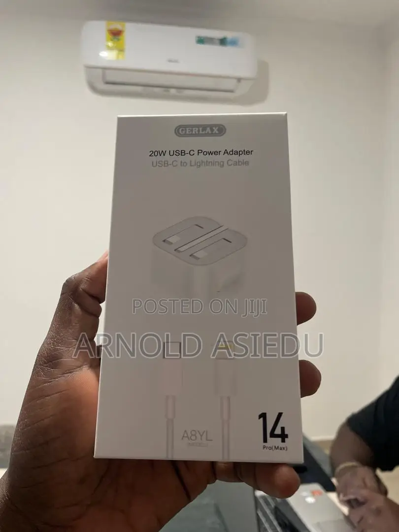 Original Apple Charger
