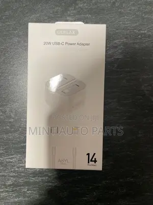 Original Apple Charger