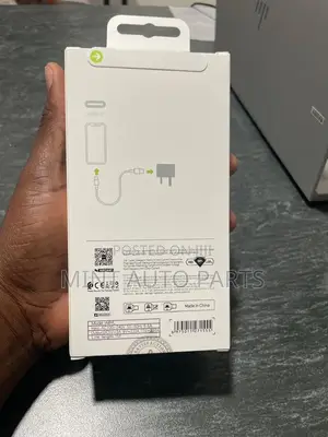 Original Apple Charger