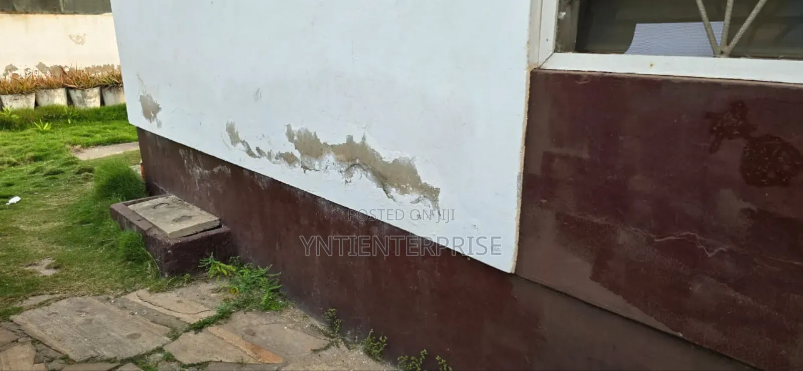 Expert In Salty/Damp Wall Treatment