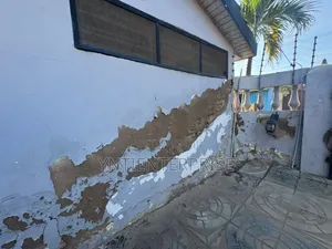 Expert In Salty/Damp Wall Treatment