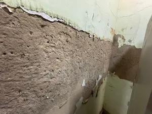 Expert In Salty/Damp Wall Treatment