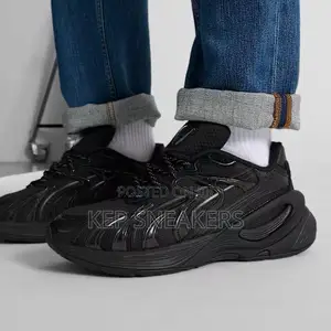 Puma Inverse