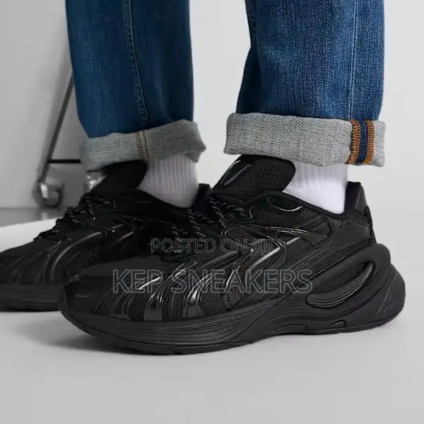 Puma Inverse