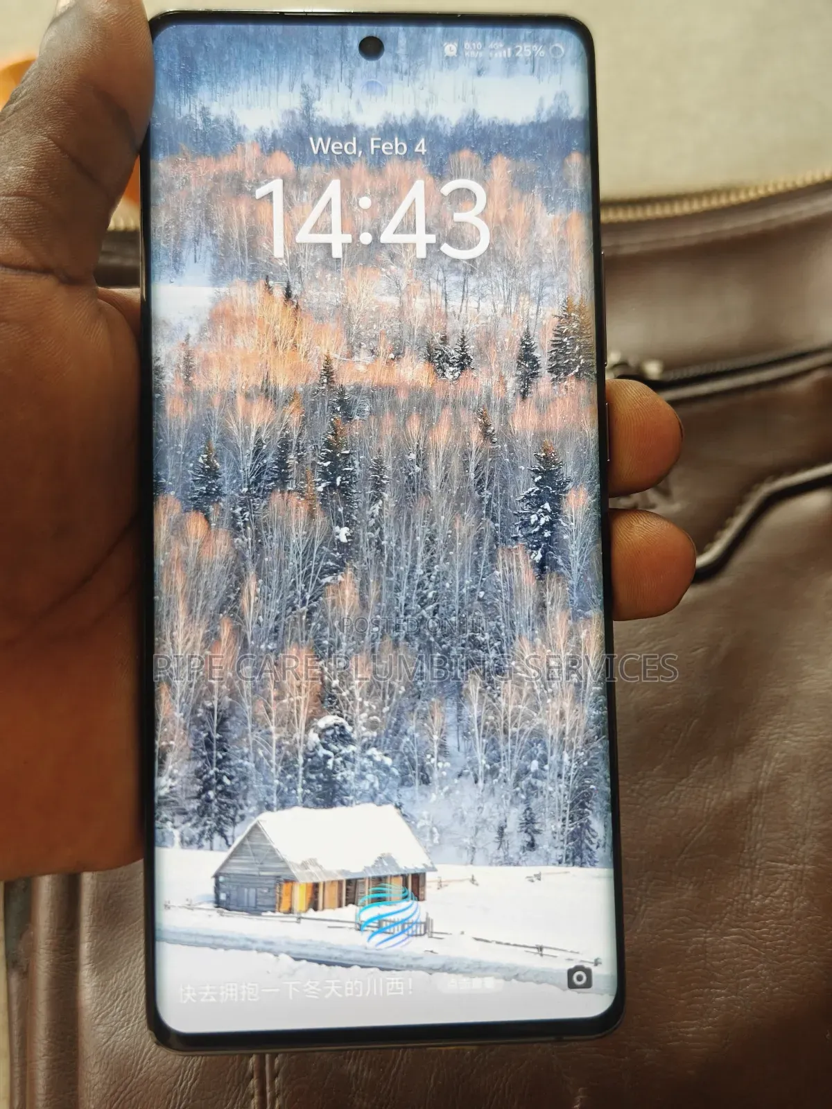 Vivo X90 Pro 256 GB Black