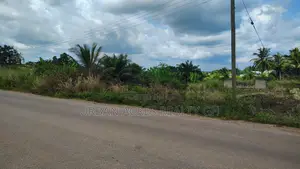 C.R, Swedru - Winneba Road (Swedru) _ 4 Plots Commercial Land