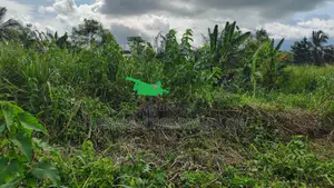 C.R, Swedru - Winneba Road (Swedru) _ 4 Plots Commercial Land