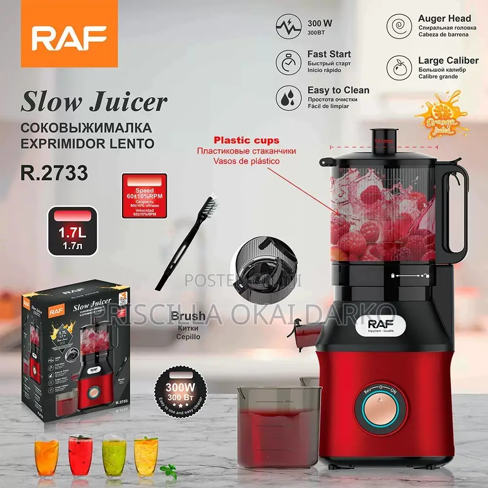 Raf Juicer With Free Delivery