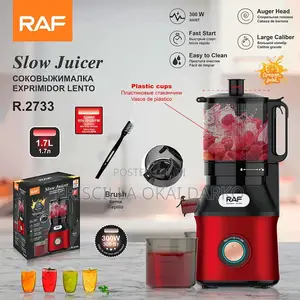 Raf Juicer With Free Delivery