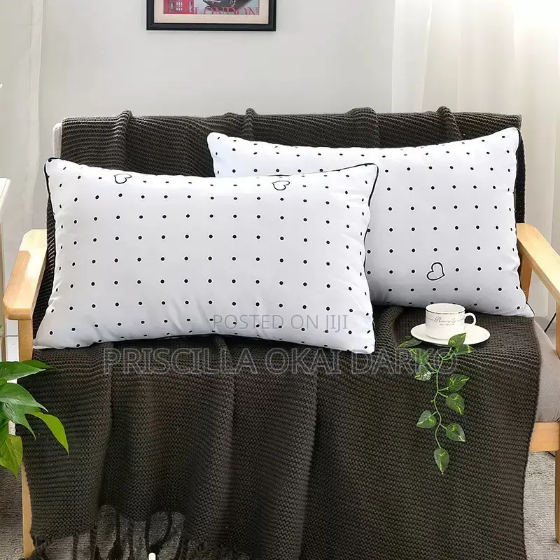 Pillow 2 Pieces Very Fluffy