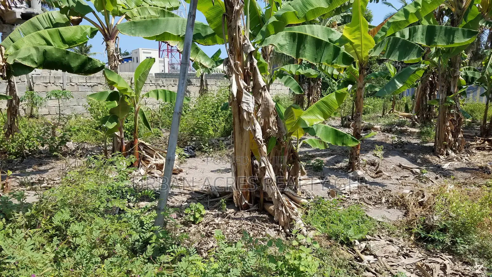 E.R, Koforidua (Obuor Estate) _ 1 Plot Building Land