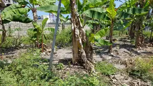 E.R, Koforidua (Obuor Estate) _ 1 Plot Building Land