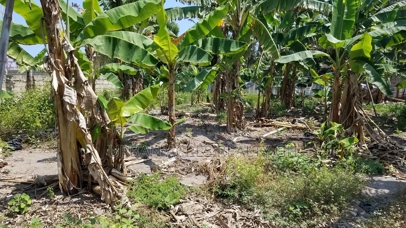 E.R, Koforidua (Obuor Estate) _ 1 Plot Building Land