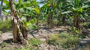 E.R, Koforidua (Obuor Estate) _ 1 Plot Building Land
