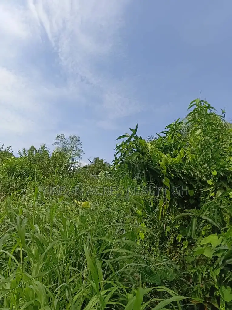 Western Region, Beposo (Atta Ni Atta) _ 25 Acres Farmland