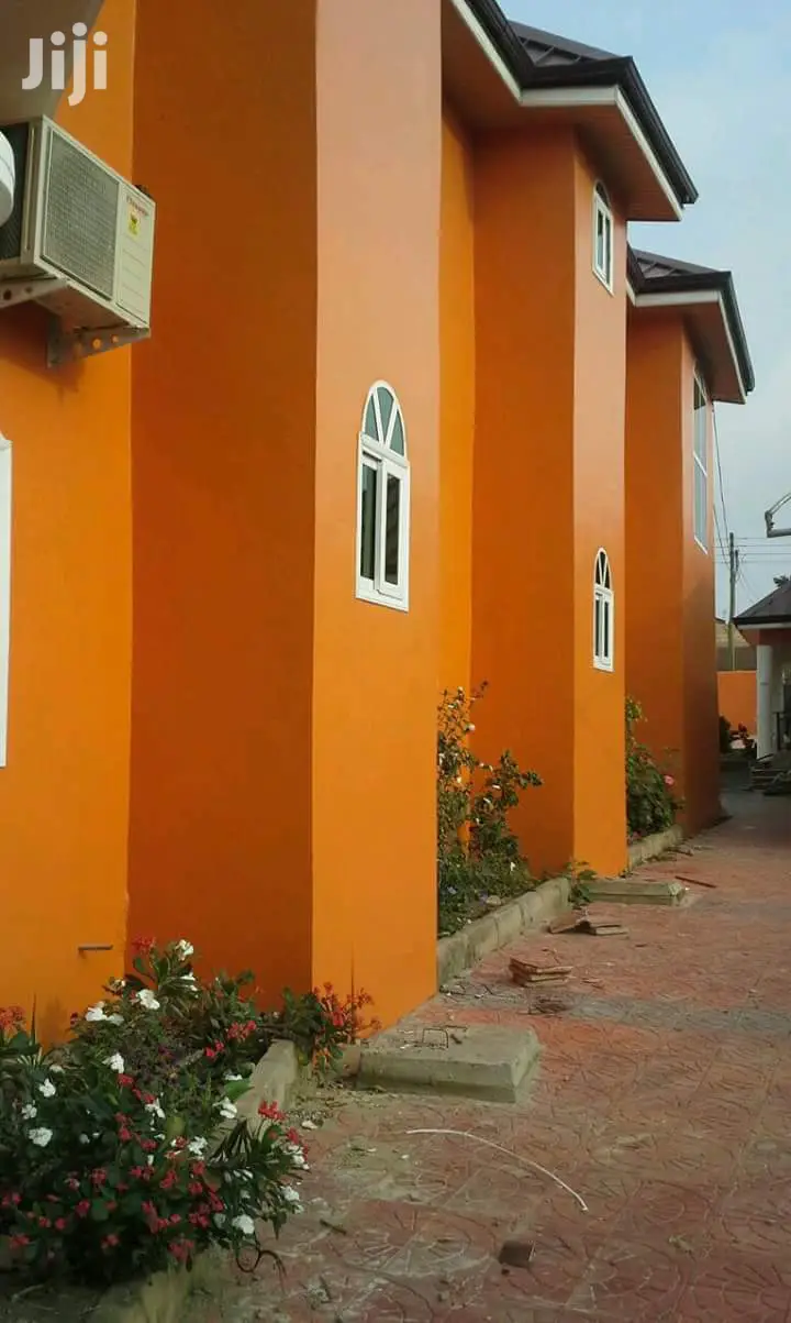 Professional Painter Certified