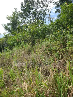 Registered 1000 Acres of Farme Land for Sale