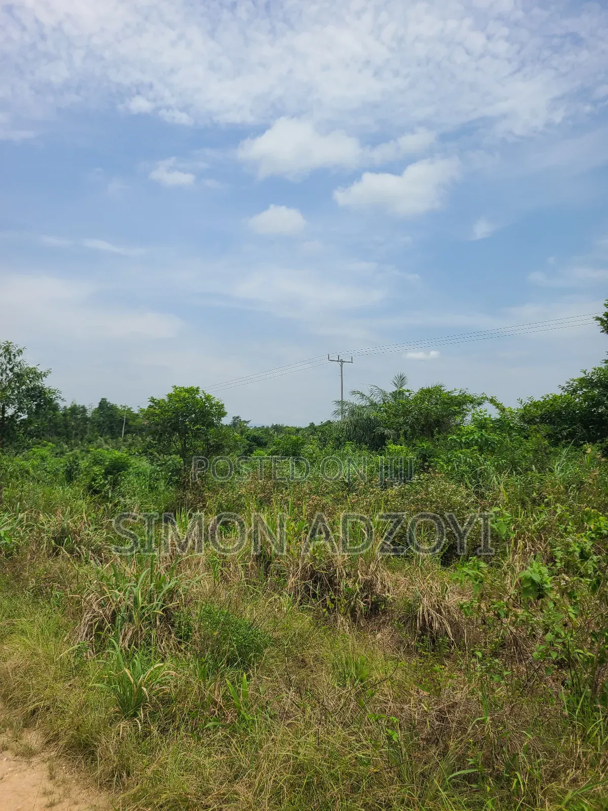 Registered 1000 Acres of Farme Land for Sale